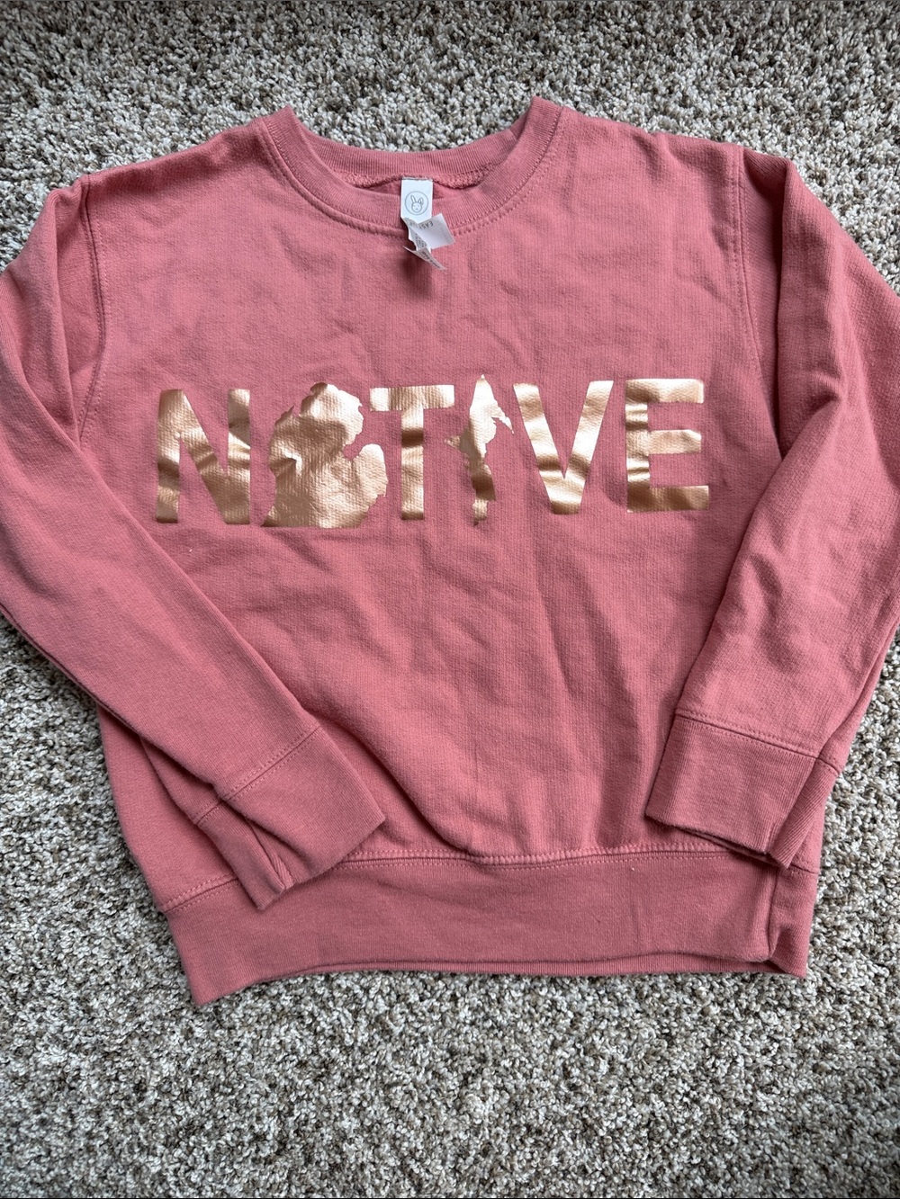 Rabbit Skins Rose Pink Crewneck with Michigan Native Metallic Accent size 5/6